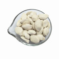 White Pumpkin Seeds with Salinity 60% Salt Salted